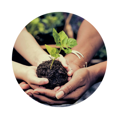 SDGs Sustainability People and Planet