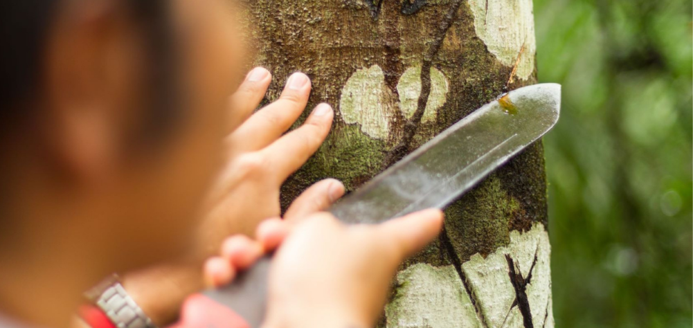 FairChange Blog_Amazon Forest Indigenous People