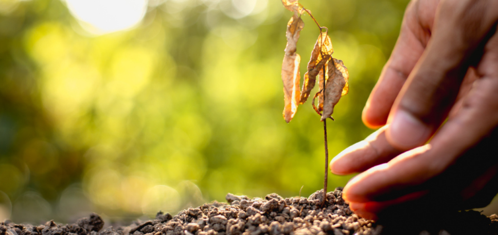 Glasgow Climate Pact COP26