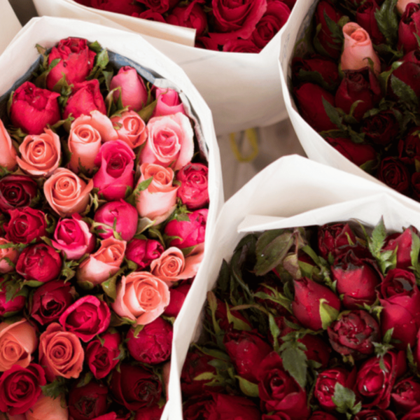 Share the Love with Fair Roses-FairChange Blog Valentine's Day