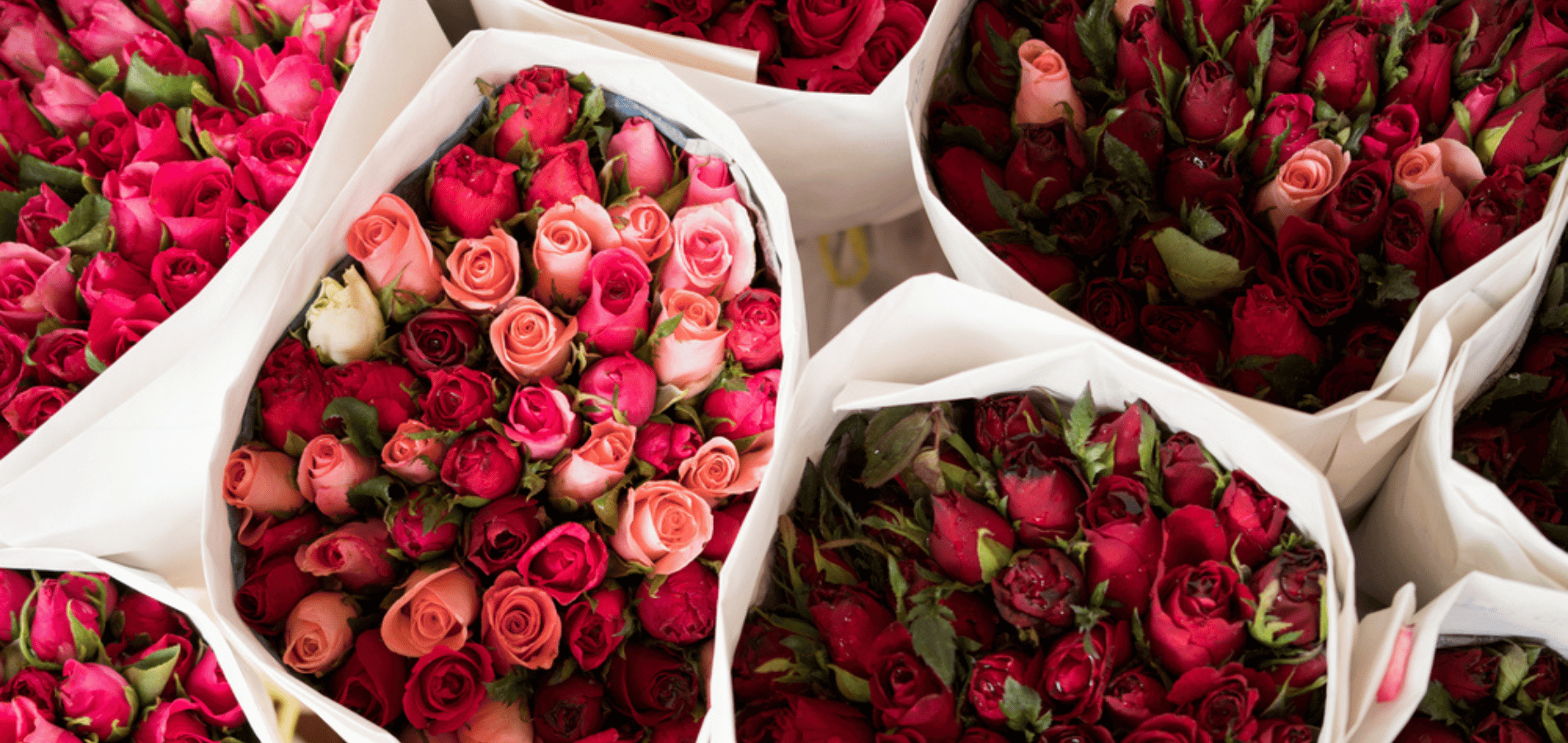 Share the Love with Fair Roses-FairChange Blog Valentine's Day