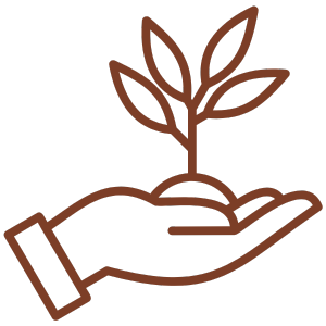 FairChange Development Coaching