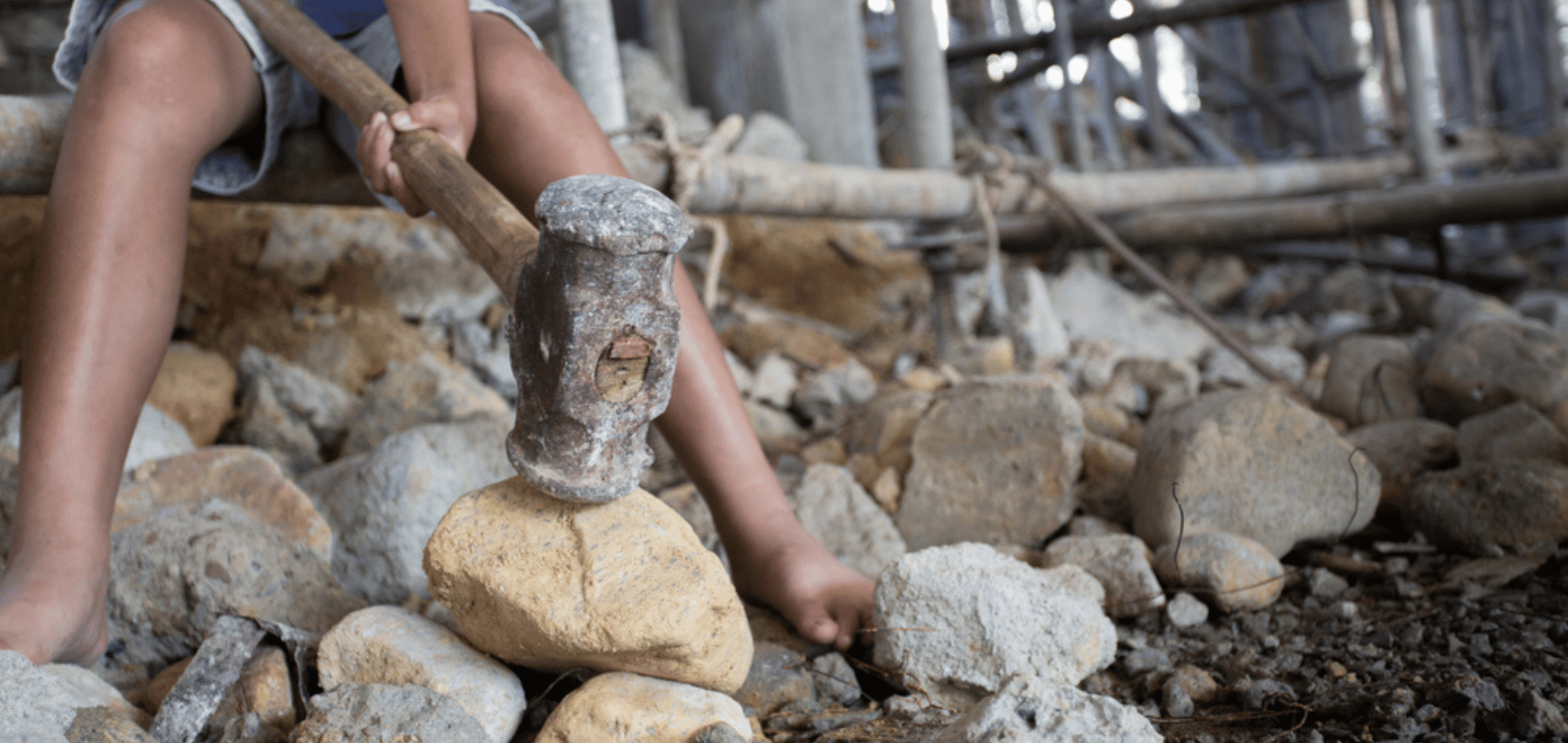 FC Blogpost Forced Labour Regulation